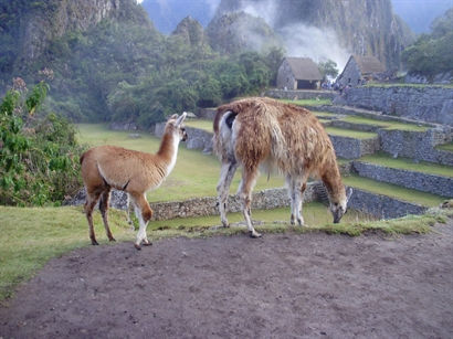 Turismo en America Latina - Machu Picchu